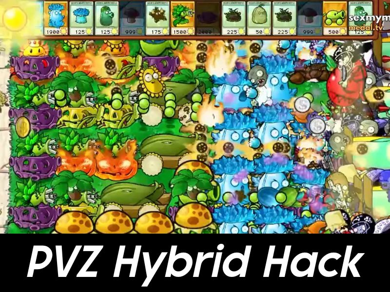 Những tính năng nâng cấp trong Pvz Hybrid Hack