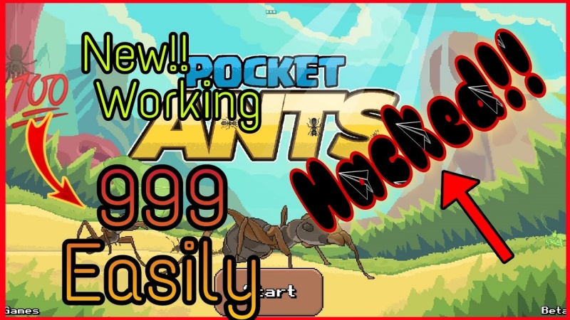 hack-pocket-ants-03