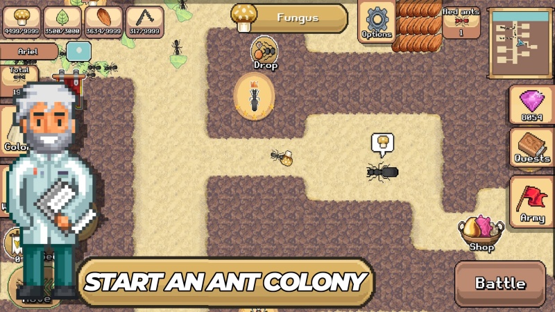 Hack Pocket Ants