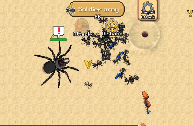 hack-pocket-ants-05